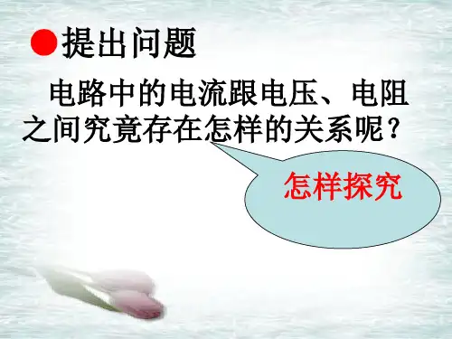 电流与电压和电阻的关系ppt6人教版课件