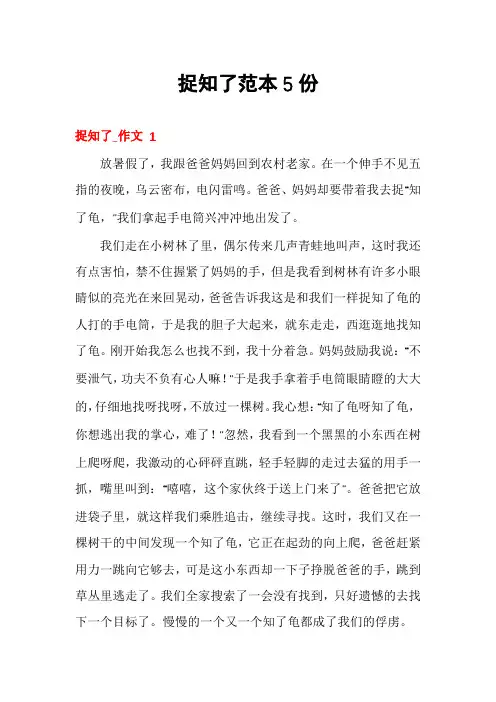 捉知了范本5份