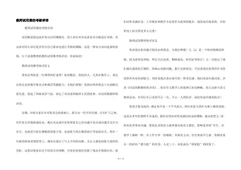 教师试用期的考核评语