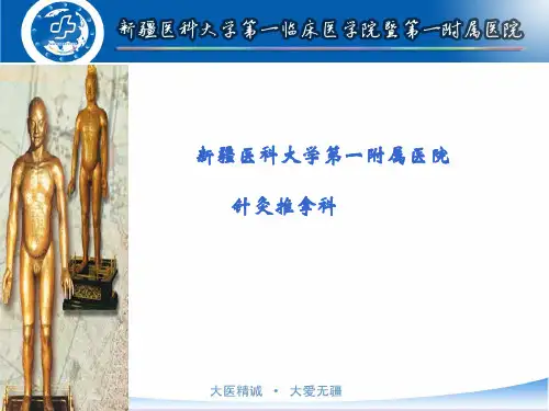 穴位埋线减肥的基本思路与方法课件