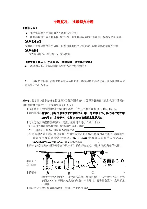 中考化学专题复习 实验探究 教案 人教新课标版