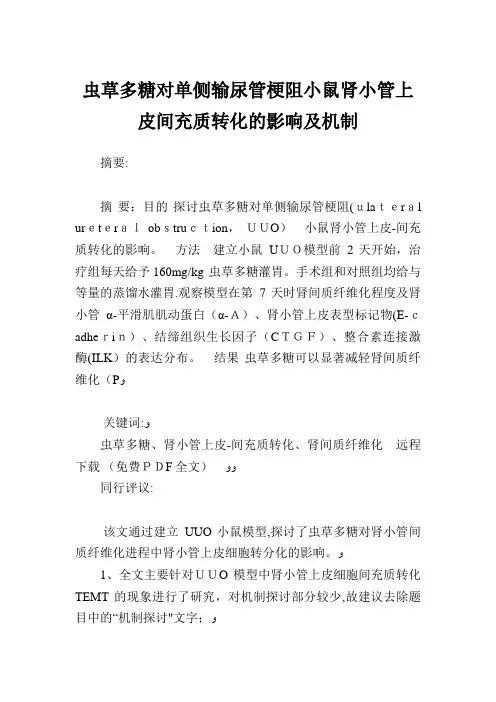 虫草多糖对单侧输尿管梗阻小鼠肾小管上皮间充质转化的影响及机制