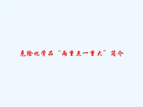 危险化学品“两重点一重大”简介-PPT