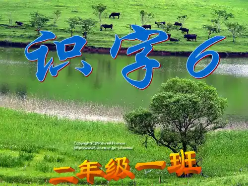 二年级下册识字6课件PPT2