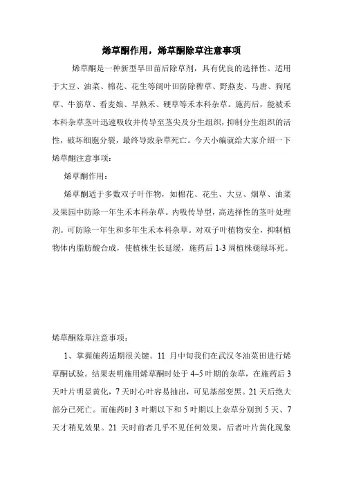 烯草酮作用,烯草酮除草注意事项