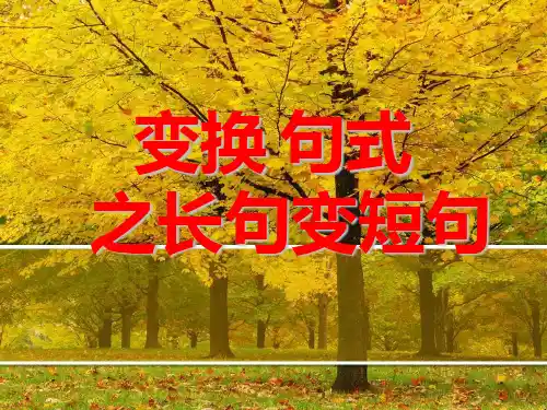 变换句式之长句变短句