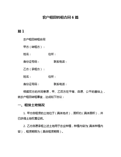 农户租田转租合同6篇