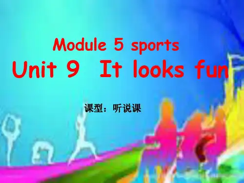 教科四年级下册英语Unit 9 It looks fun课件