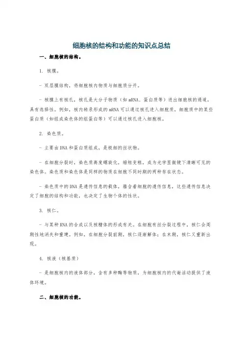 细胞核的结构和功能的知识点总结