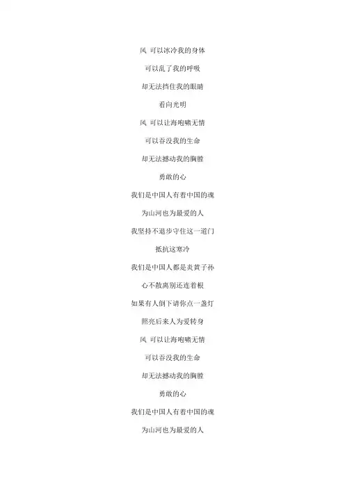 中国魂(电影《中国兵王》主题曲)文本歌词