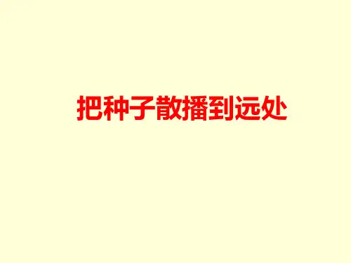 教科版科学《把种子散播到远处》专家课件1
