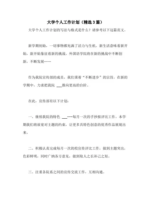 2021年大学个人工作计划(精选3篇)