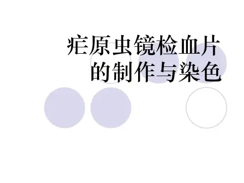 疟原虫镜检血片的制作与染色.