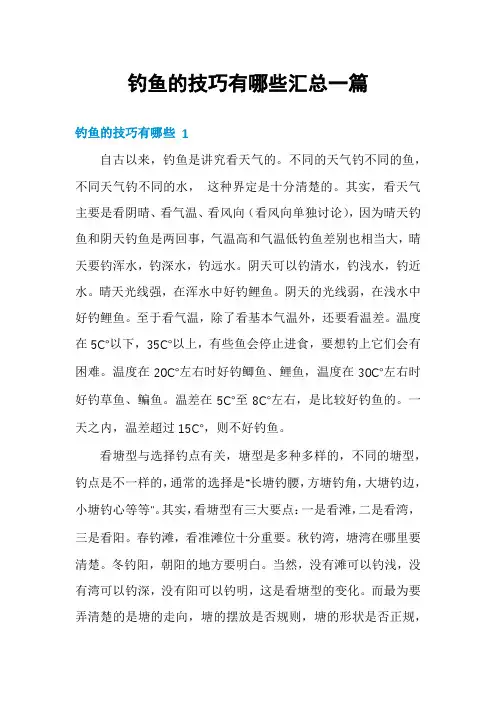 钓鱼的技巧有哪些汇总一篇