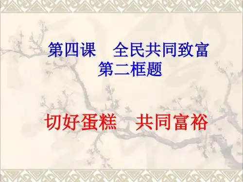 山东省九年级政治全册第二单元五星红旗我为你骄傲第4课全民共同致富第2框切好“蛋糕”共同富裕课件鲁教版