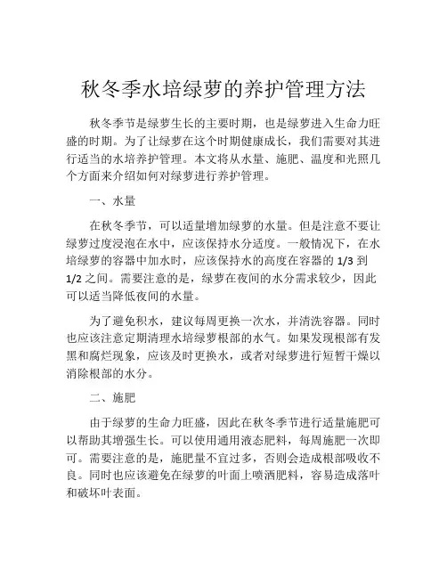 秋冬季水培绿萝的养护管理方法