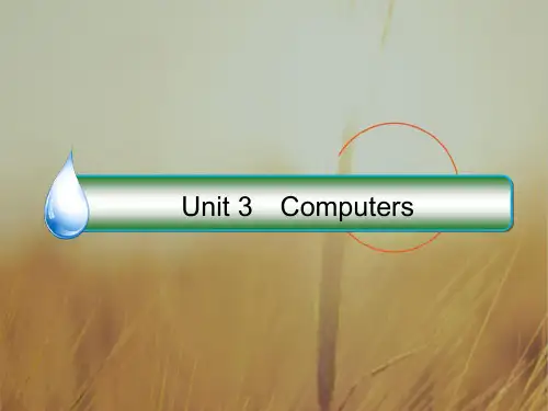 最新-2021版高考英语课标通用大一轮复习课件：必修二 Unit 3 Computers 精品