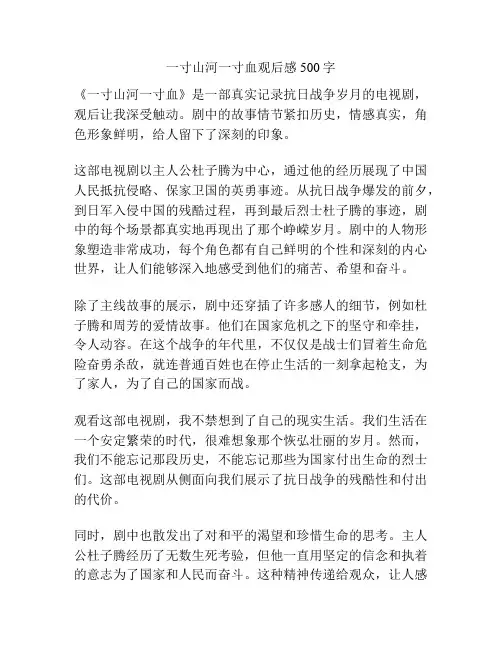 一寸山河一寸血观后感500字