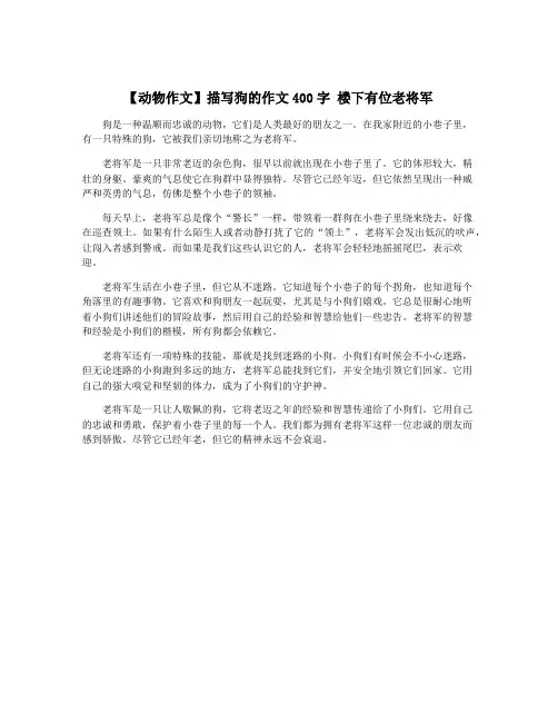 【动物作文】描写狗的作文400字 楼下有位老将军