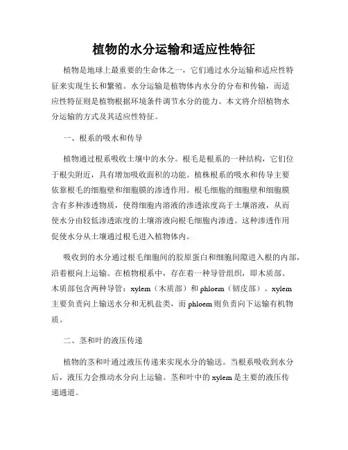 植物的水分运输和适应性特征