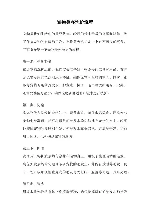 宠物美容洗护流程