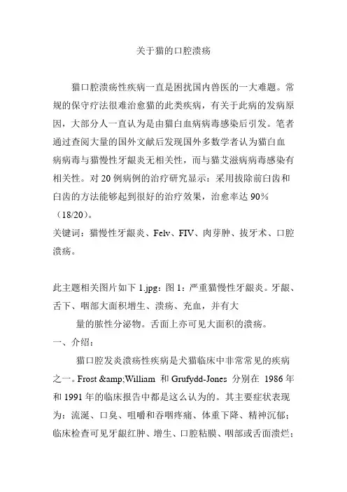 关于猫的口腔溃疡