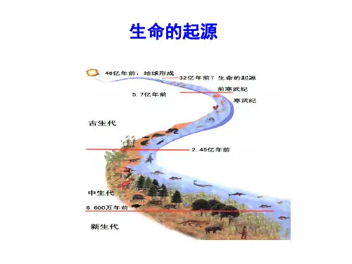 5.1.1 生命的起源 课件(19张PPT)-2022-2023学年济南版生物八年级下册