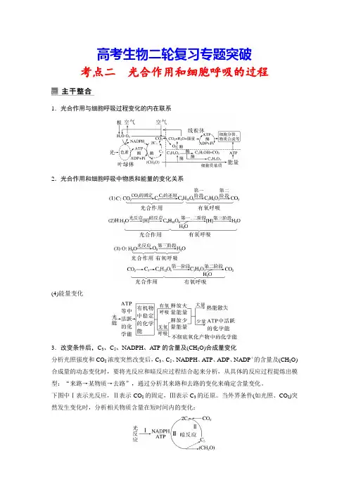 高考生物二轮复习专题突破：3-2 光合作用和细胞呼吸的过程