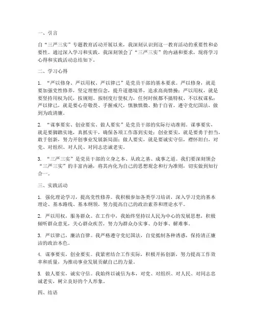 三严三实总结范文