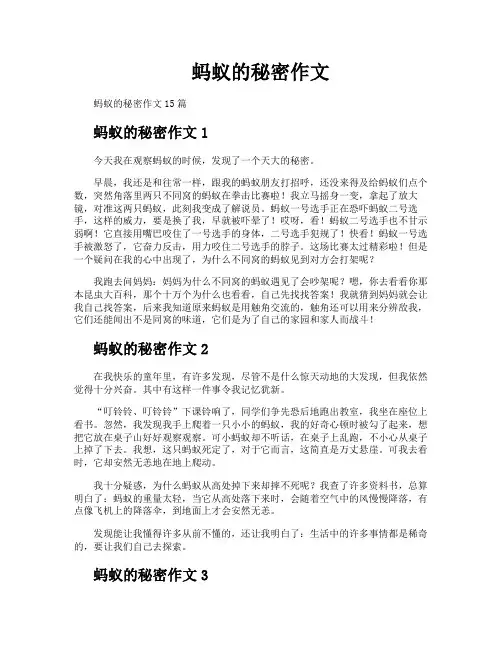蚂蚁的秘密作文