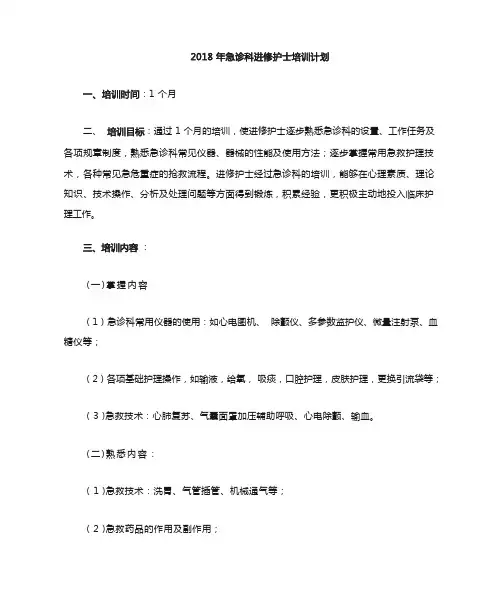 进修护士培训计划(一月)