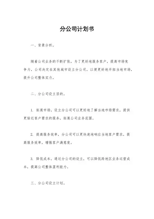 分公司计划书