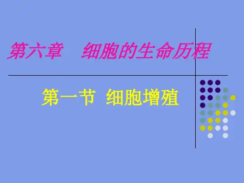 有丝分裂课件ppt
