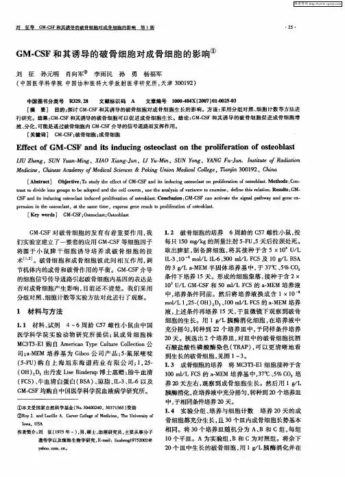GM-CSF和其诱导的破骨细胞对成骨细胞的影响