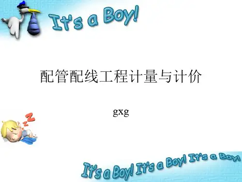电气配管配线1
