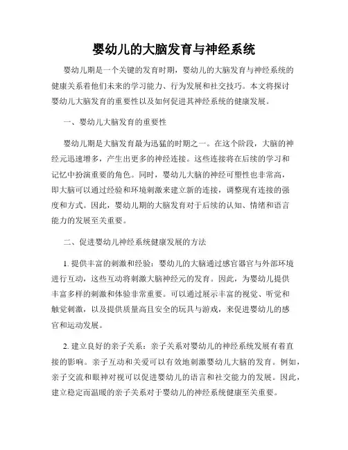 婴幼儿的大脑发育与神经系统