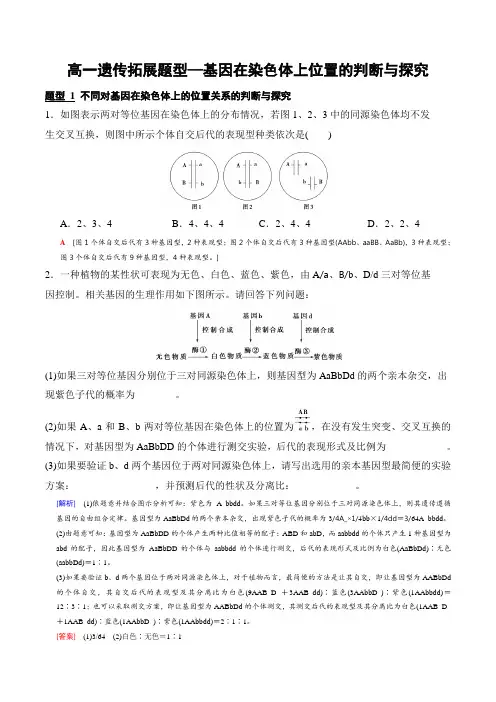 高一遗传拓展基因在染色体上位置的判断高一下学期生物人教版必修2