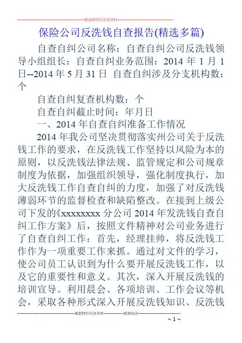 保险公司反洗钱自查报告(精选多篇)