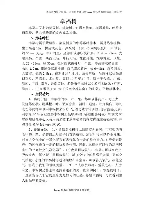 幸福树盆栽技术