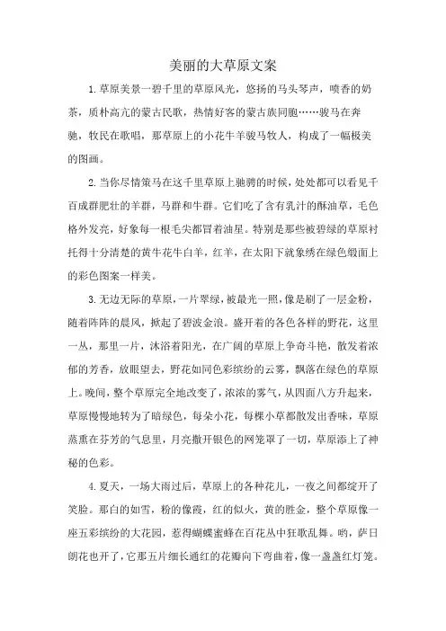 美丽的大草原文案