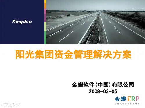 金蝶资金管理解决方案要点