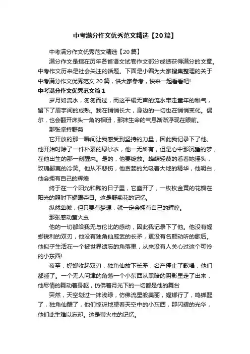 中考满分作文优秀范文精选【20篇】