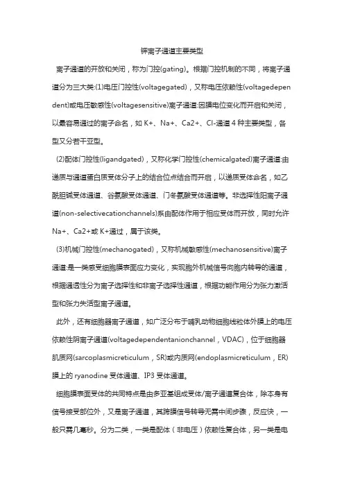 钾离子通道主要类型