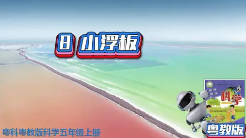 (2021)粤教版科学五年级上册8课小浮板(第二单元物体的沉与浮)PPT课件