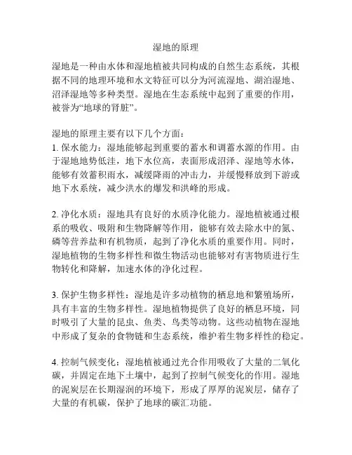 湿地的原理