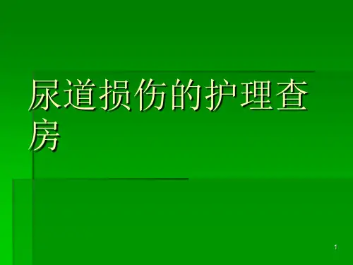 尿道损伤的护理查房ppt课件