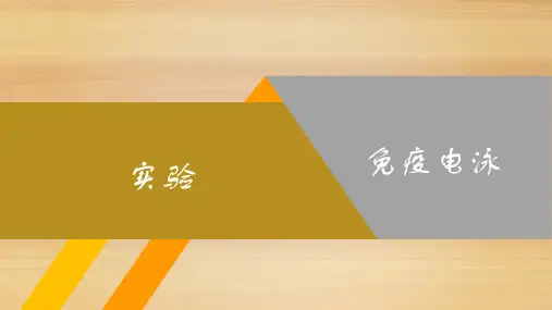 实验-免疫电泳
