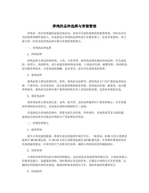 养鸡的品种选择与育雏管理