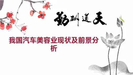 我国汽车美容业现状及前景分析