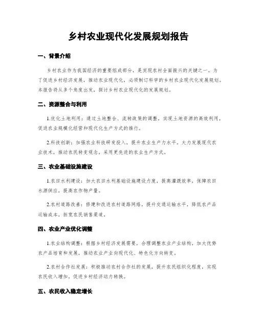 乡村农业现代化发展规划报告